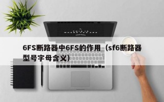 6FS断路器中6FS的作用（sf6断路器型号字母含义）