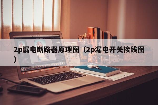 2p漏电断路器原理图（2p漏电开关接线图）-第1张图片-威尼斯澳门人(亚洲)第一品牌-欢迎莅临