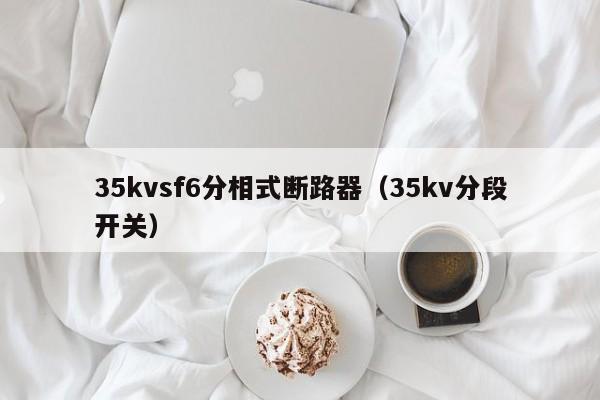 35kvsf6分相式断路器（35kv分段开关）-第1张图片-威尼斯澳门人(亚洲)第一品牌-欢迎莅临