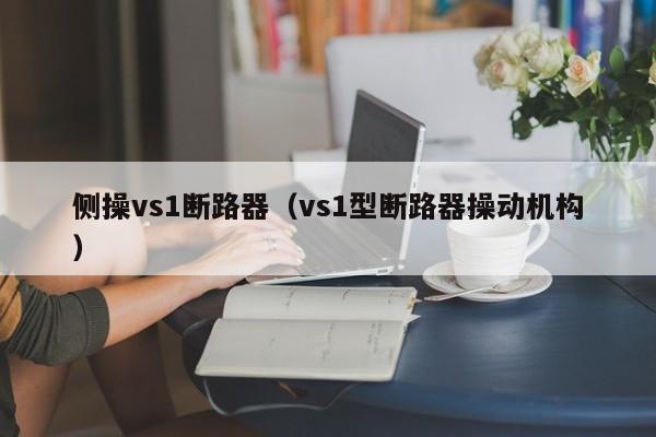 侧操vs1断路器（vs1型断路器操动机构）-第1张图片-威尼斯澳门人(亚洲)第一品牌-欢迎莅临